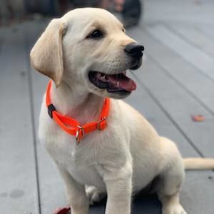 Meet your Posher, Sara